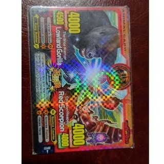 百獸卡Kaiser Lowland 大猩猩 vs 紅蠍子 RedScorpion