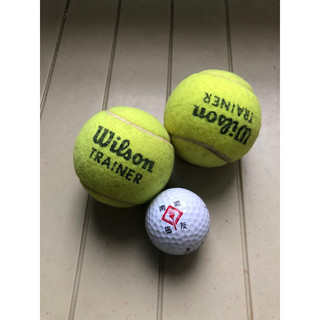 網球🎾Wilson trainer $50元/個