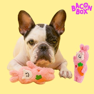 【你和我的狗】 韓國正版 Bacon 兔子朋友 寵物玩具 【現貨】 兔子玩具 狗狗玩具 貓咪玩具 耐咬玩具 韓國玩具