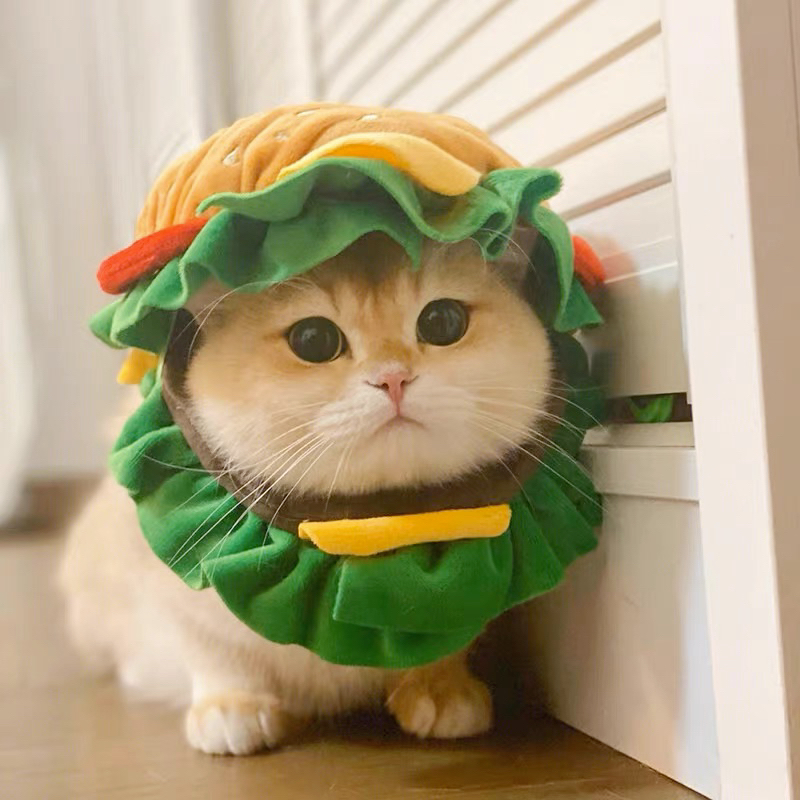 搞怪🐕🐈‍⬛ 寵物 貓咪漢堡頭套 麥當勞🍔 狗狗 帽子 可愛 頭飾 變裝 拍照道具 小型犬 裝扮服飾品