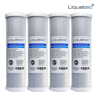 【LIQUATEC】壓縮活性碳濾心 CTO｜兩年份 4支組合｜美國 LIQ NSF42認證 10英吋通用規格濾芯 第二道