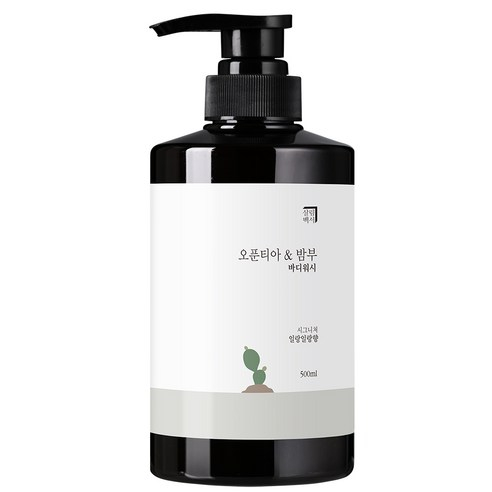 Salrimbaekseo 仙人掌竹子沐浴乳 500ML