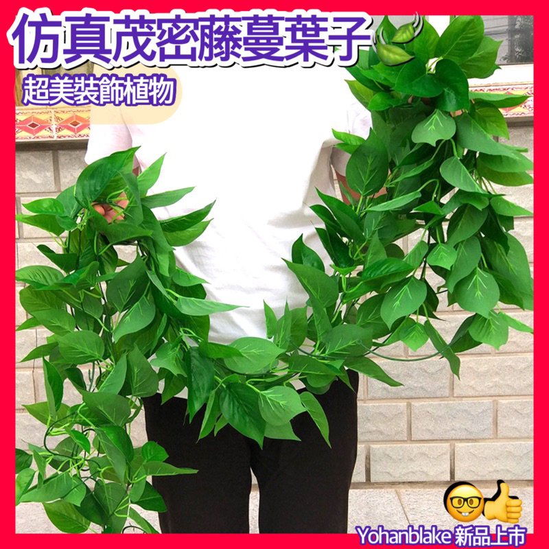 😇仿真綠蘿葉藤蔓壁掛😇壁掛藤條 假藤蔓 植物 綠植 客廳裝飾 綠蘿葉 假樹葉 塑膠花 仿真藤蔓 葉子 假草 假藤蔓
