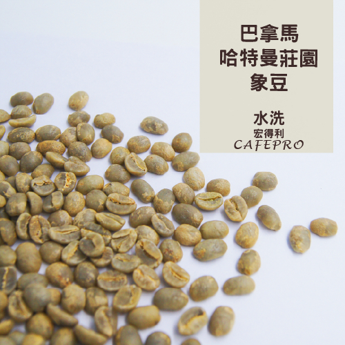 【咖啡生豆】巴拿馬 哈特曼莊園 象豆 水洗 500g