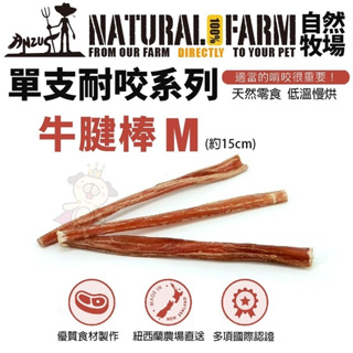 Natural Farm 自然牧場 單支耐咬-牛腱棒M 低溫慢烘 狗潔牙骨 狗零食『WANG』