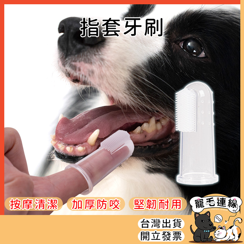 狗牙刷 寵物牙刷 指套牙刷 狗牙刷指套 寵物指套牙刷 牙刷 寵物矽膠牙刷 寵物牙刷 矽膠 矽膠牙刷｜寵毛連線【X021】