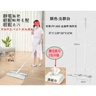 免洗乾濕拖把(贈送濕紙巾) 乾溼兩用拖把 抗菌拖把 另有販售拖把巾