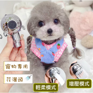 寵物洗澡神器❤️花灑 蓮蓬頭 淋浴 洗澡 水龍頭 清潔用品
