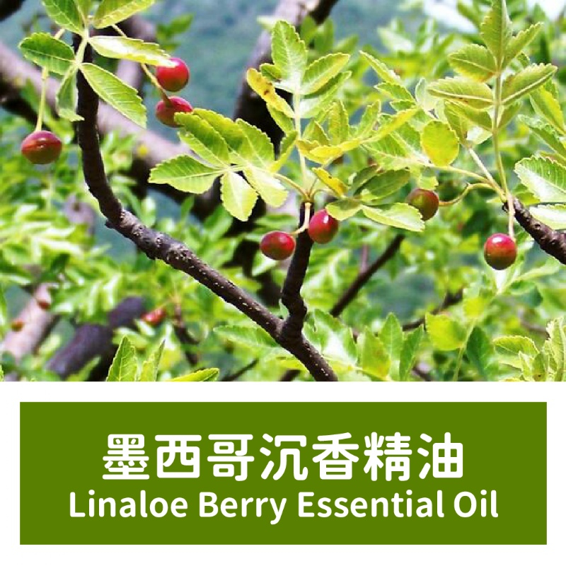 【馥靖精油】墨西哥沉香精油 Linaloe Berry Essential Oil 100ml