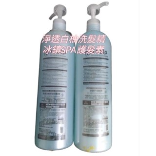 【正品 公司貨 明星商品】淨透白柚洗髮精&冰鎮Spa護髮素