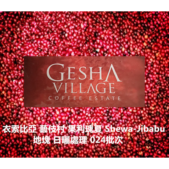 ◇紅標批次◇ 瑰夏村莊園 果利瑰夏 Shewa-Jibabu 地塊 日曬處理 024批次
