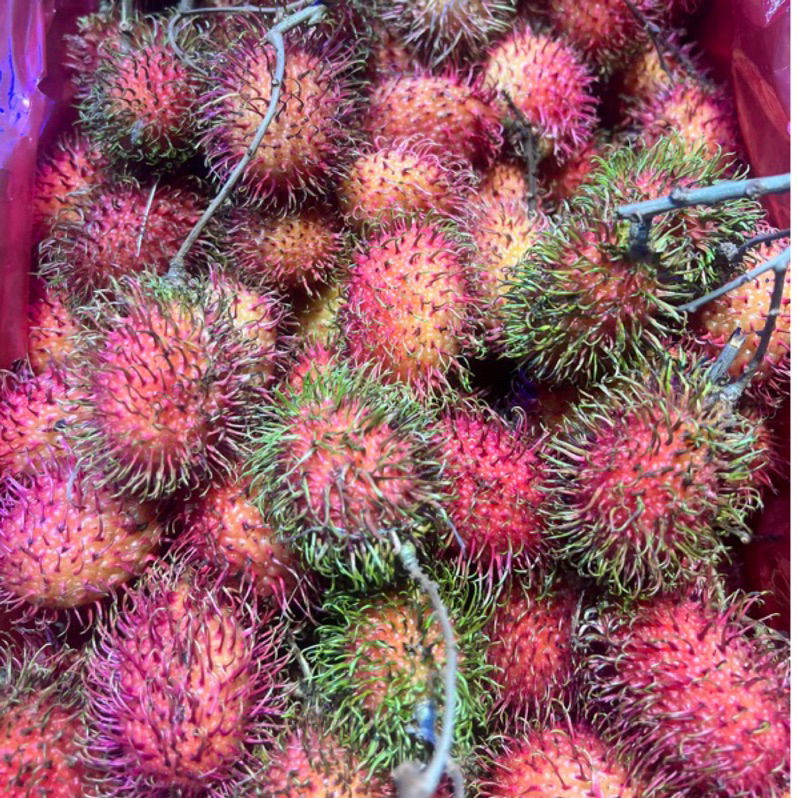 聊聊【紅毛丹.黃毛丹產季為每年6月至9月】被譽為熱帶水果王 聯合國糧農組織甚至列為了優質四大水果之一