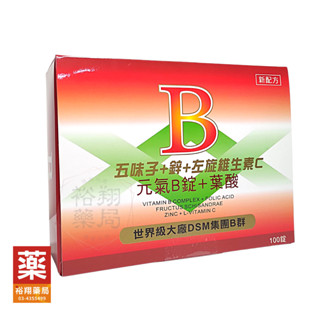 艾爾欣│元氣綜合維生素B群│100錠裝