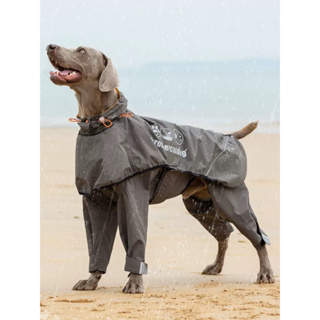 2024-夏季新款全包式寵物雨衣中大型犬防水雨披四腳防水服高品質狗狗雨衣