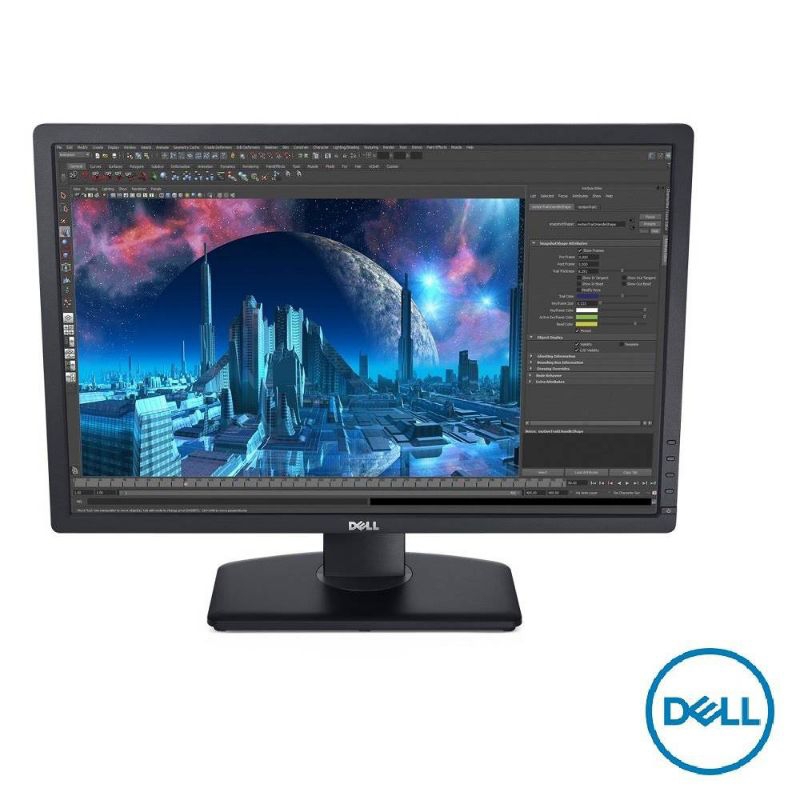 DELL U2412M