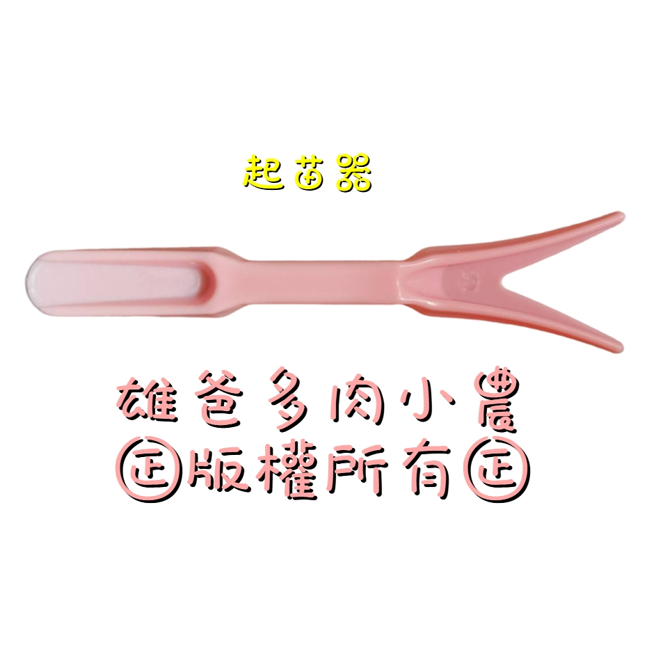 🐨雄爸多肉🐨 多肉植物 工具 起苗器(粉紅色/藍色)