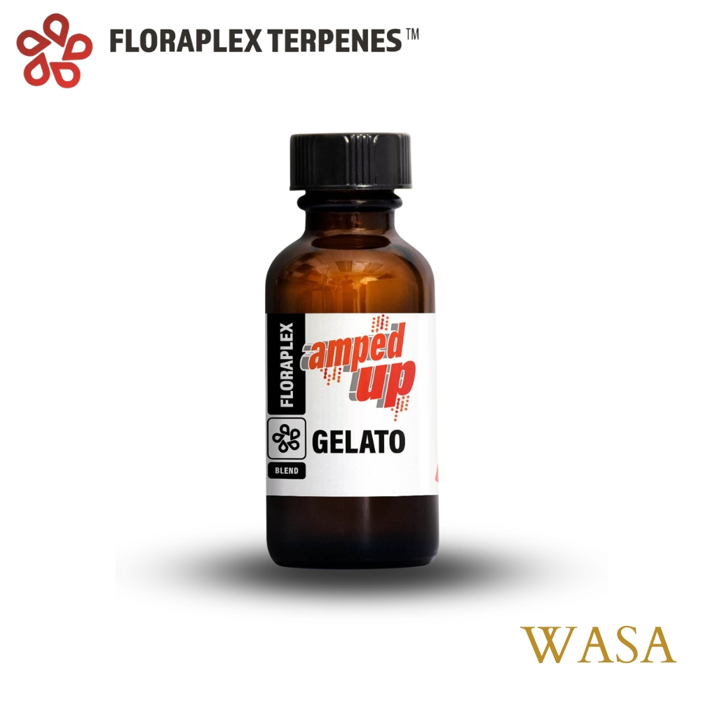 【WASA】Floraplex - 『Amped Up』Terpene - Gelato 義式冰淇淋 2ml