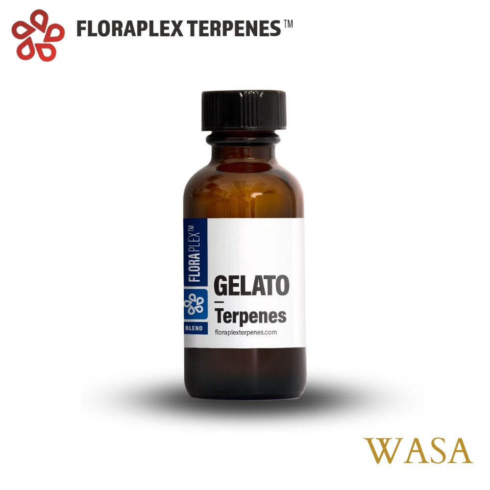 【WASA】Floraplex - 『Hybrid』Terpene - Gelato 義式冰淇淋 2ml