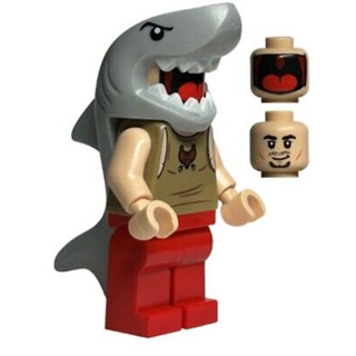 【臺中翔智積木】LEGO 樂高 哈利波特系列 76420 Viktor Krum 三巫鬥法 維克多·喀浪 含頭髮