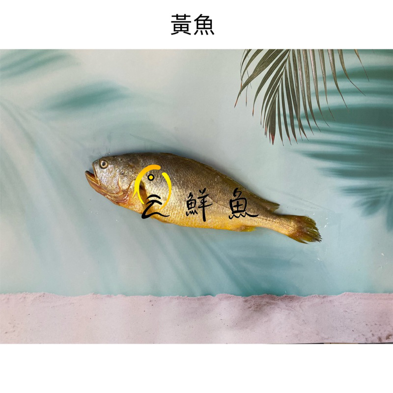 《云鮮魚》現貨-三去黃魚 黃花魚/鮮魚/海鮮／魚貨