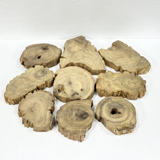 【御古齋】精選 肖楠片 不規則 原木片 藝品 展示底座 盆栽座 飾品座 茶壺墊 原木淡雅清香 一次二片 0413