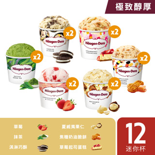 哈根達斯 極致醇厚迷你杯100ml 12入組 有效期限20250930