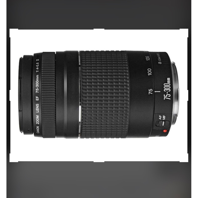 售 Canon EF 75-300mm F4-5.6 70D