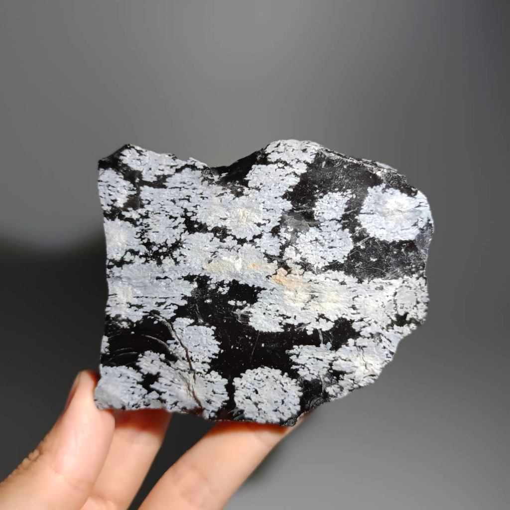 能量星球✳雪花黑曜石 Snowflake Obsidian 火山玻璃 原礦 黑曜岩 雪花石