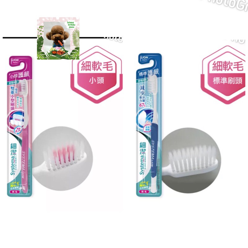 日本獅王牙刷，超柔護齦、牙周抗敏、小頭、螺旋極淨