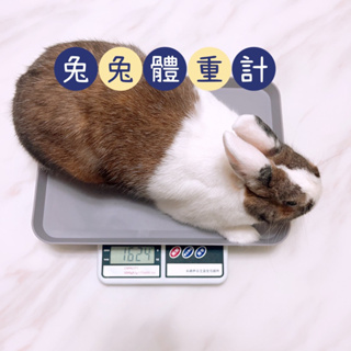 寵物體重計｜兔子體重計 小型動物磅秤、寵物體重機 寵物磅秤 龍貓體重機 天竺鼠兔子體重機