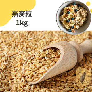 快速出貨｜燕麥粒(Oat groats) 1kg 燕麥仁 燕麥粥燕麥口感Q韌