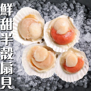 鮮讚｜鮮甜半殼扇貝 台中可自取 扇貝 干貝 貝柱 帆立貝 帶殼扇貝 冷凍海鮮 燒烤 火鍋 貝類 大干貝