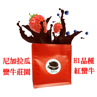 尼加拉瓜蠻牛莊園紅蠻牛H1 黃密處理 中烘焙 新鮮烘焙 單品手沖咖啡豆 榛果與蘋果風味 瀘沐咖啡 比星巴克還要好喝
