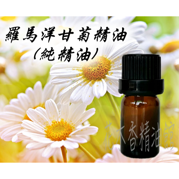 花木香精油館-羅馬洋甘菊精油 / 羅馬 洋甘菊 精油 / 5ml、10ml (單方精油)