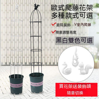 爬藤花架支撐桿 植物爬藤架 歐式園藝攀爬支架 陽臺鐵線蓮月季花支架