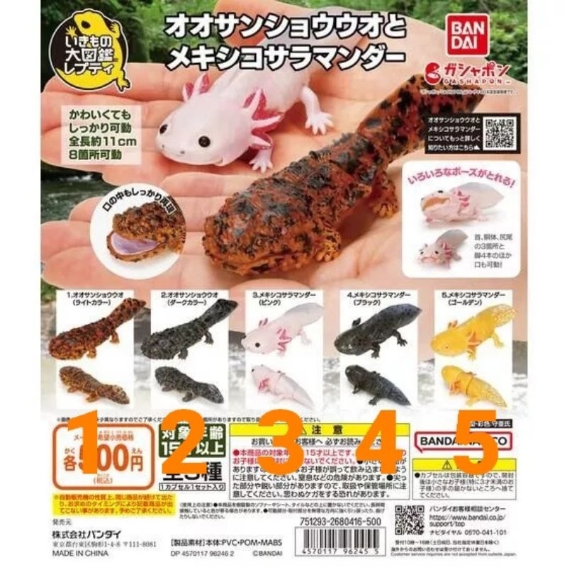 生物大圖鑑 第4彈 大鯢 公仔 墨西哥鈍口螈 山椒魚娃娃魚 六角恐龍 蠑螈 環保扭蛋 可動 環保轉蛋 轉蛋 盒玩 仿真