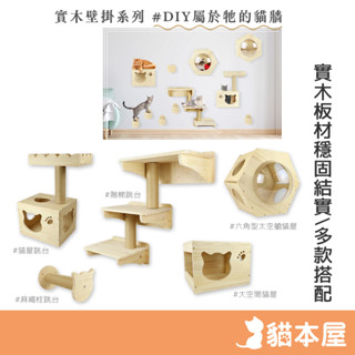 貓本屋 實木壁掛 DIY系列【現貨】太空艙貓屋 麻繩柱 貓跳臺 壁掛跳臺 六角形太空艙貓屋 壁掛階梯 釘牆跳臺 實木跳臺
