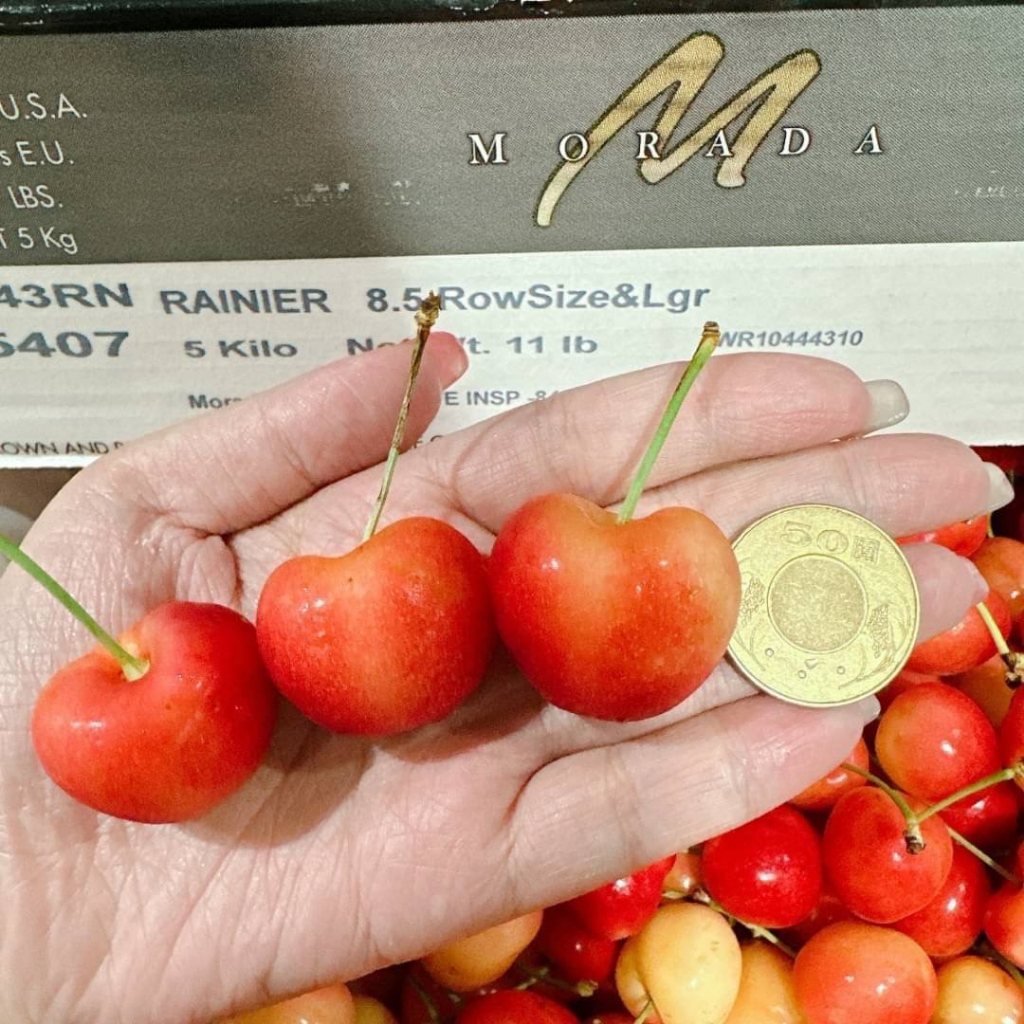 🇺🇸美國加州空運頂級白櫻桃🍒一盒1公斤 8.5R/32-34mm 稀有超大規格❤️滿額免運【好節果】