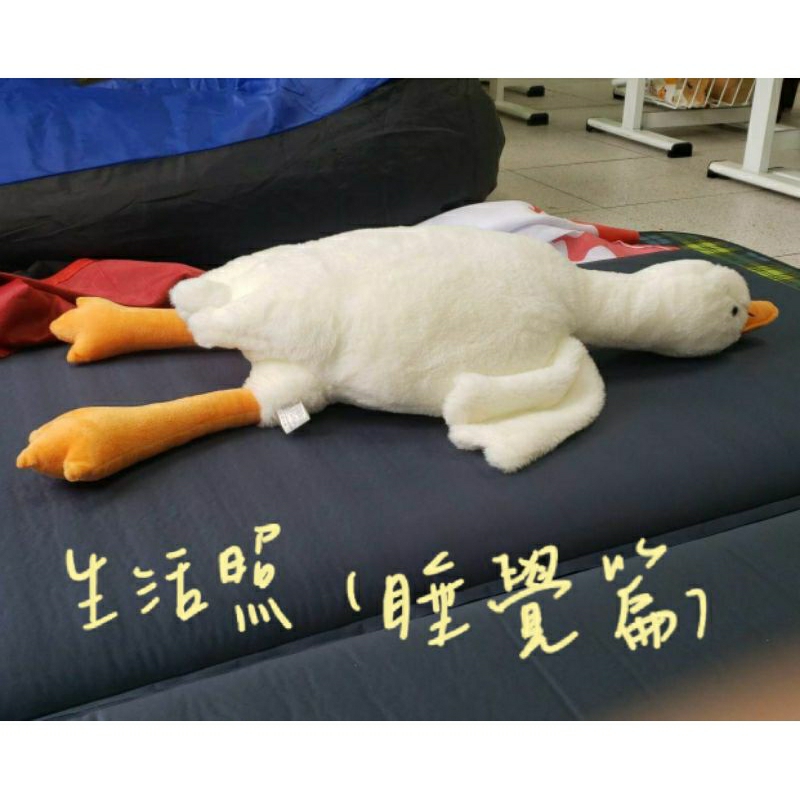 白鵝娃娃(二手)(算腳丫丫約90公分)/抱枕娃娃/趴睡大白鵝抱枕