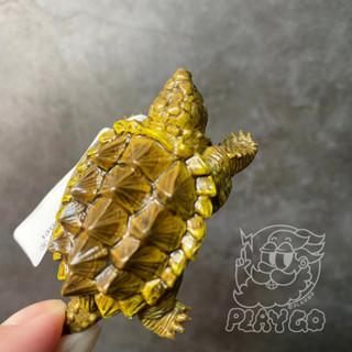 現貨 日本 Miniatureplanet 動物系列 大鱷龜 真鱷龜 模型 公仔 盤古PLAY GO