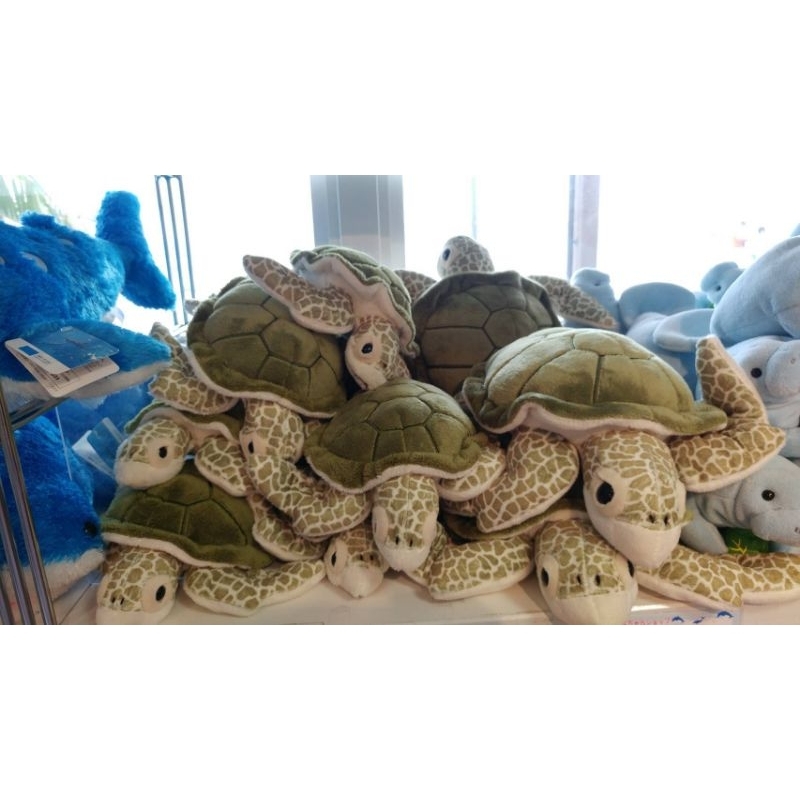 全新品 日本 沖繩 海洋公園 沖繩美麗海水族館 海龜 娃娃 玩偶(小款)（大款）