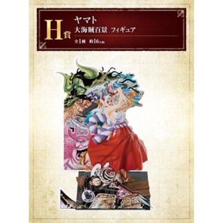 【小龍便宜公仔】全新 正版 大海賊百景 一番賞 H賞 大和 凱多 女兒 WT100記念