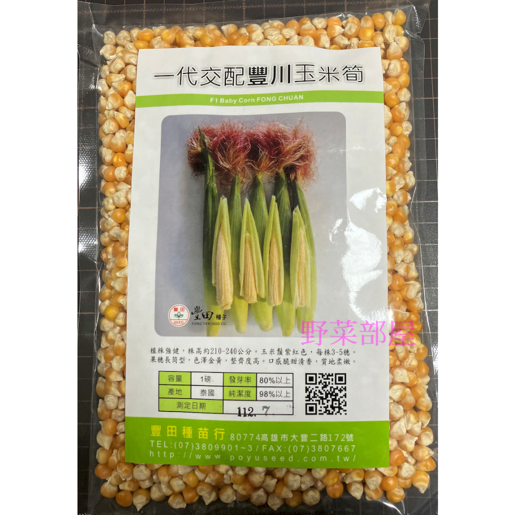 【萌田種子~大包裝】N33 豐川玉米筍種子1磅 , 紅鬚玉米筍 , 口感脆甜清香 ~