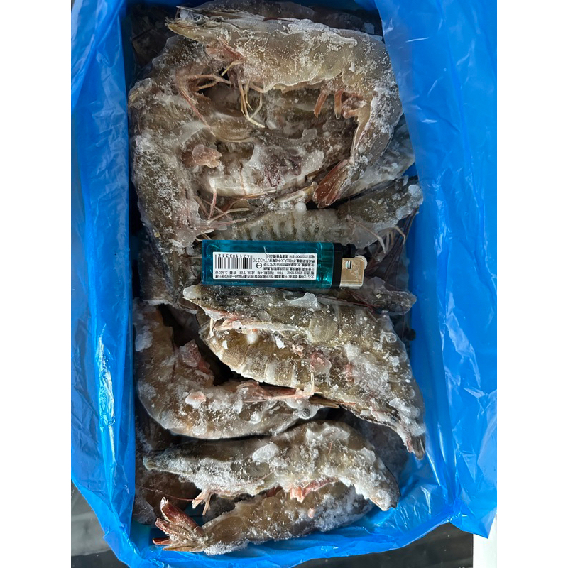 💫深夜海鮮-冷凍白蝦20/30 大盒裝/白蝦-1公斤