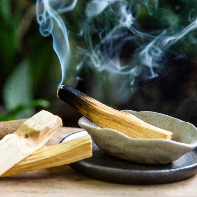 秘魯聖木 質地優良 聖木條 聖木 淨化 靜心 冥想 聖物 正能量 聖木陶盤 小陶盤