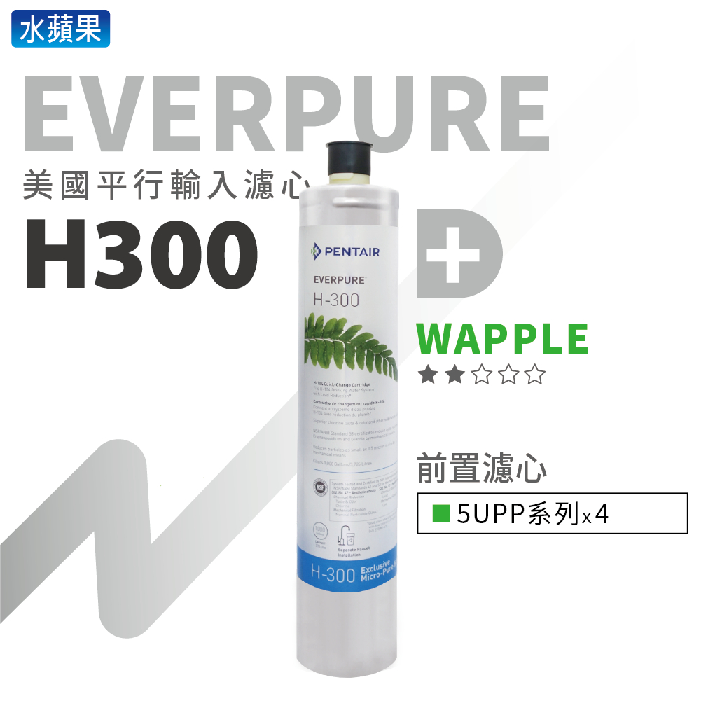 【平行輸入】EVERPURE-H300濾心+10英吋5微米PP濾心 組合