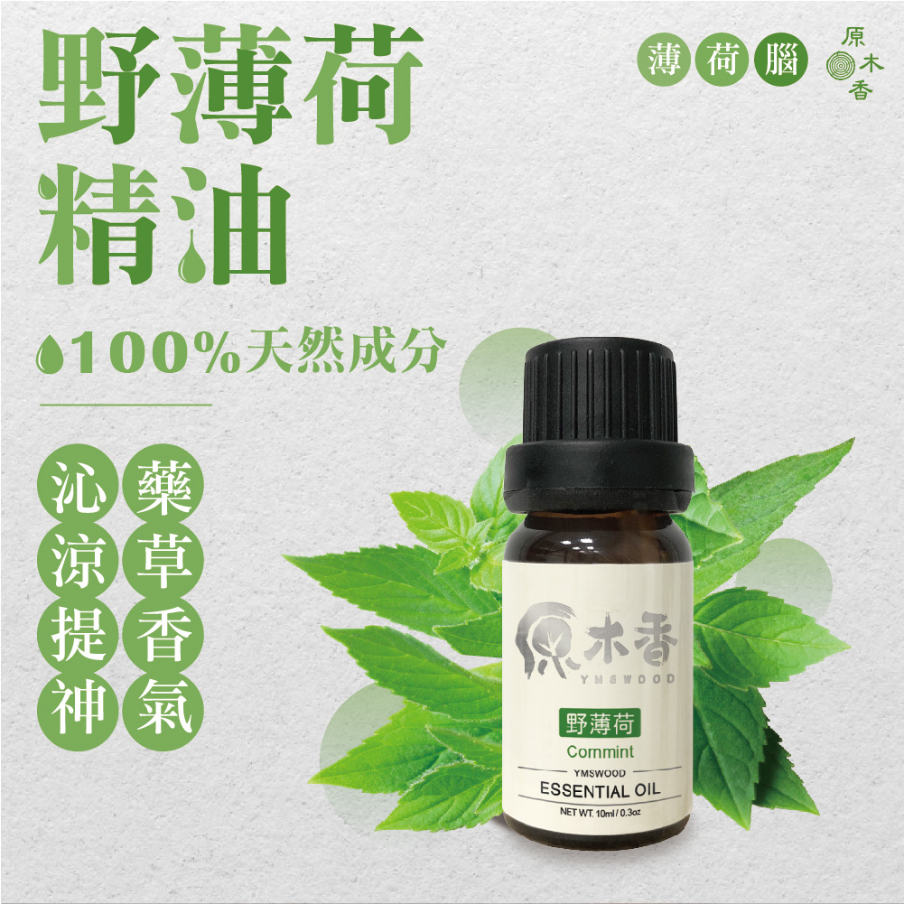 【買5送1】薄荷精油 精油 薄荷油 10ML 野薄荷 野薄荷精油 天然植物萃取 香氛精油 水氧機精油 薰香 芳香 原木香