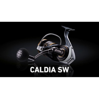 （拓源釣具）DAIWA 22 CALDIA SW 大物 紡車捲線器