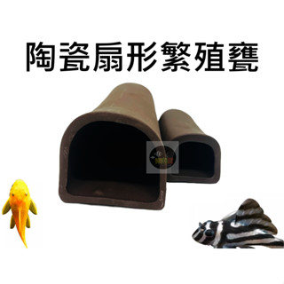 【樂魚寶】陶瓷扇形繁殖甕 異型繁殖 異形繁殖 產卵 躲避屋