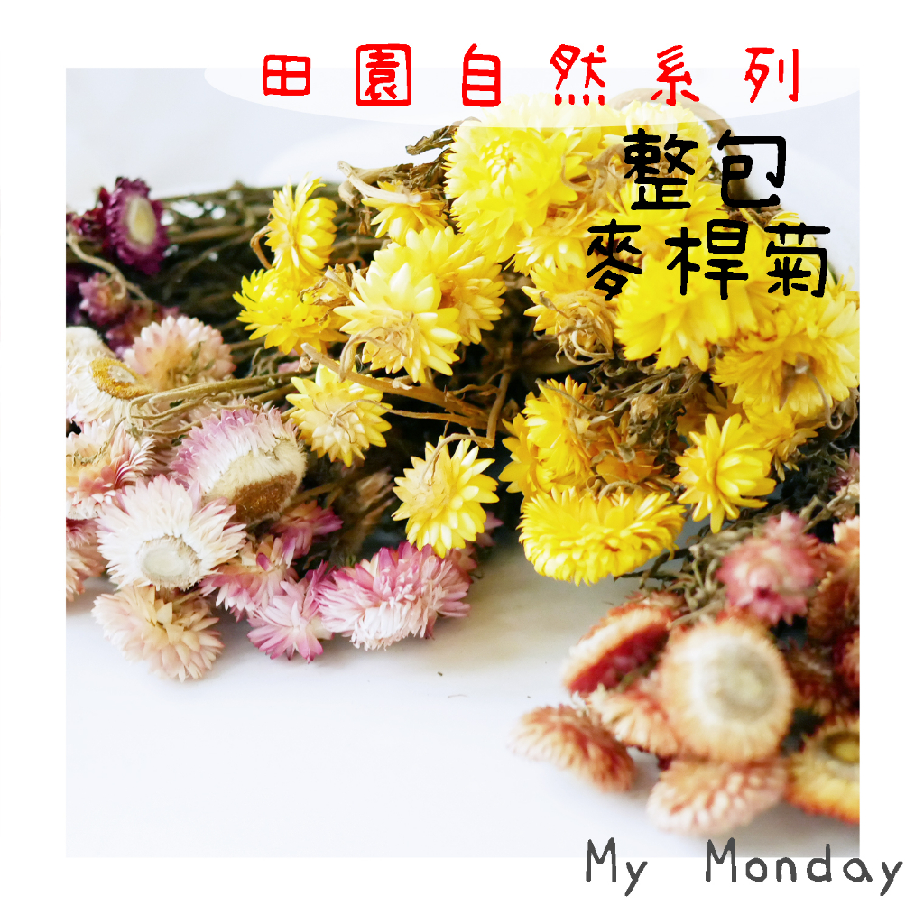 My Monday 衝評價!!!小麥桿菊 菊花 整包 法小菊【乾燥麥桿菊/整包麥桿菊】不凋花 永生花 乾燥花 桌花 花材